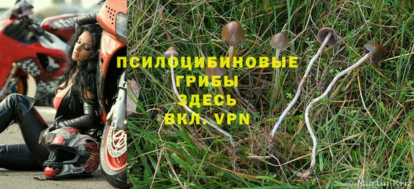 а пвп мука Армянск