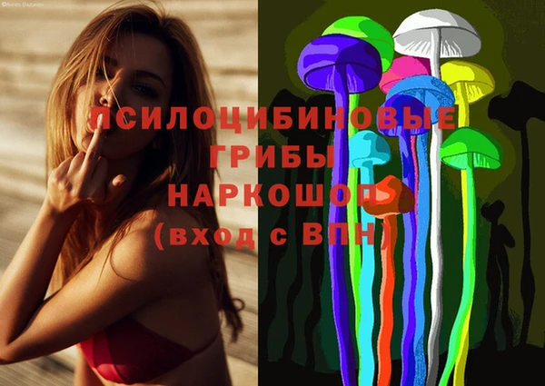 первитин Заволжск
